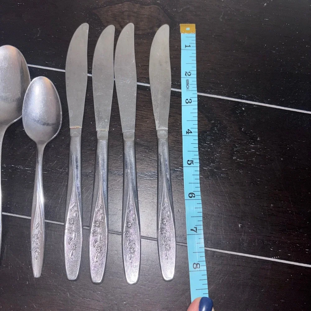 Superior Stainless USA | RADIANT ROSE Set | 4 Spoons, 2‎ tsp, 6 Knives, 1 Fork
